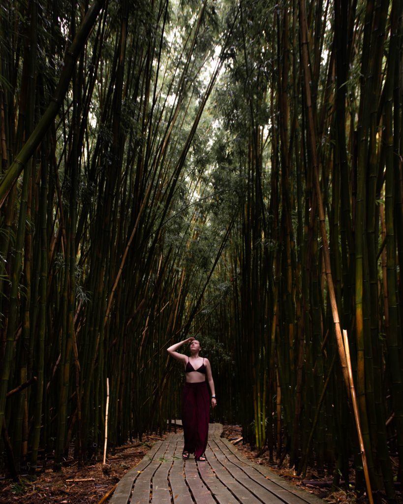 Bamboo forest on the Pipiwai Trail on the Road to Hana in Maui, Hawaii (Maui Instagram spots)