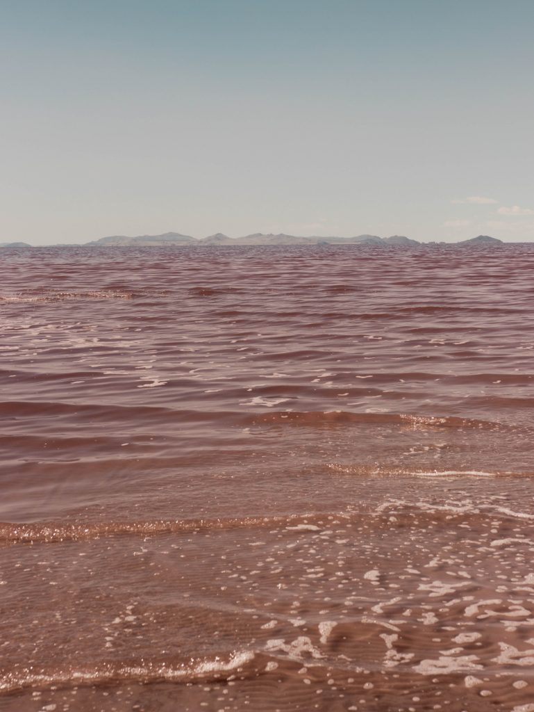 pink salt lake utah