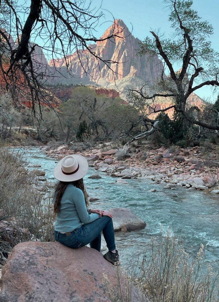 zion national park for non hikers