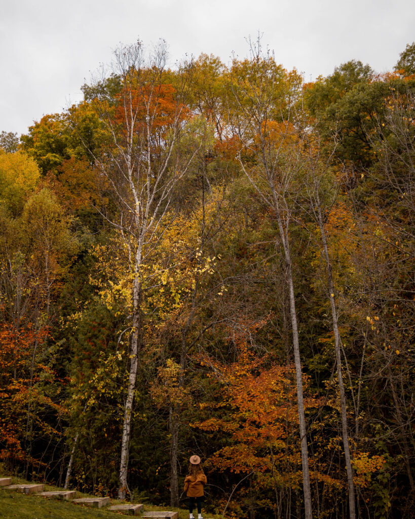 Best Wisconsin Fall Trips For Fall Foliage Scenic Drives