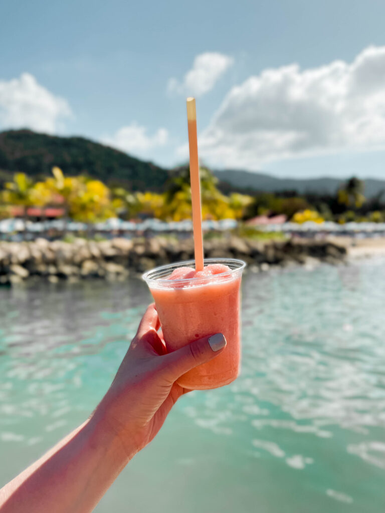 what to do in labadee