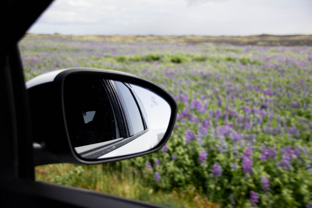 Do You Need To Rent A Car In Iceland?