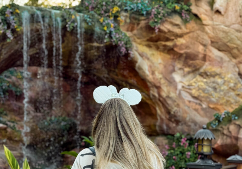tokyo disney vs disney world