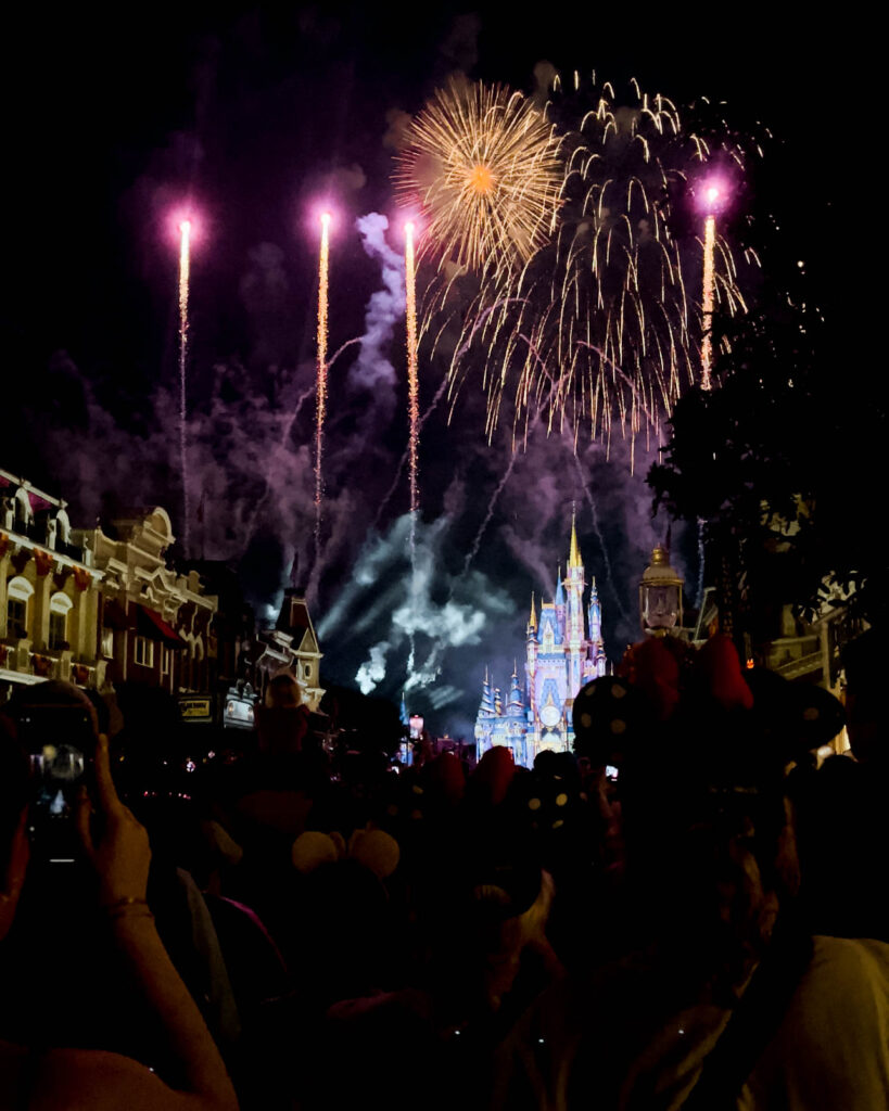 1 day at disney world