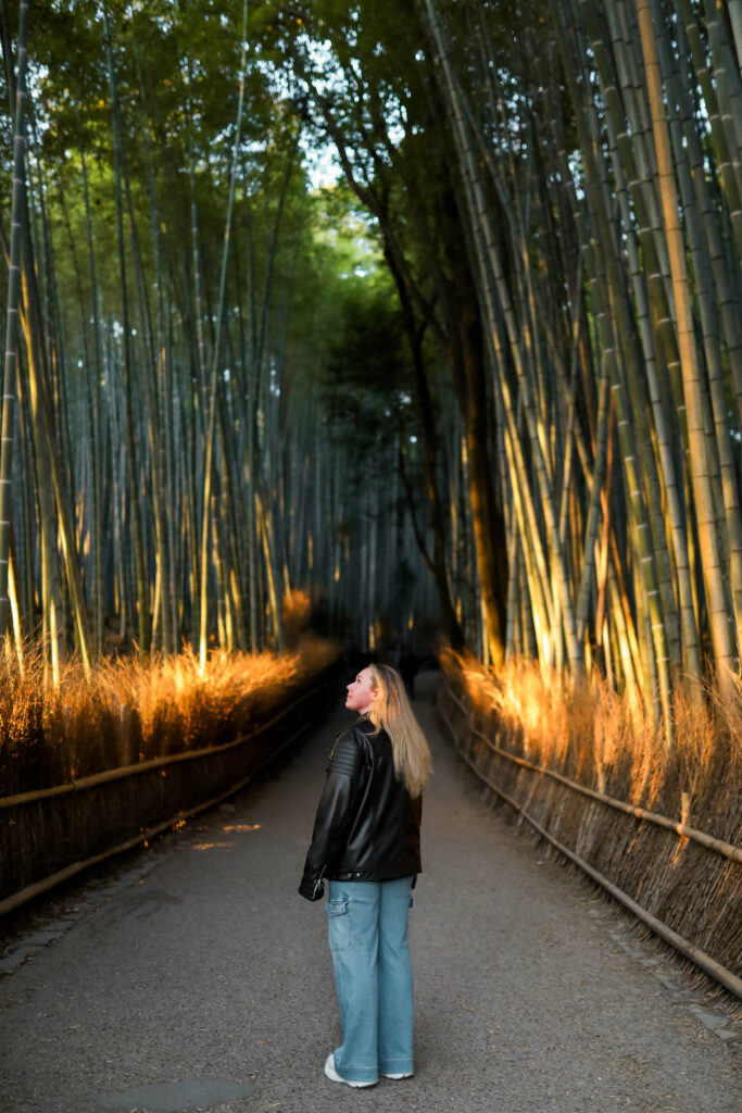 Japan itinerary with Tokyo, Kyoto and Disneyland