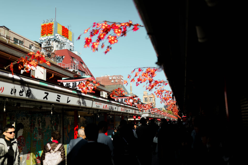 tokyo itinerary 1 day